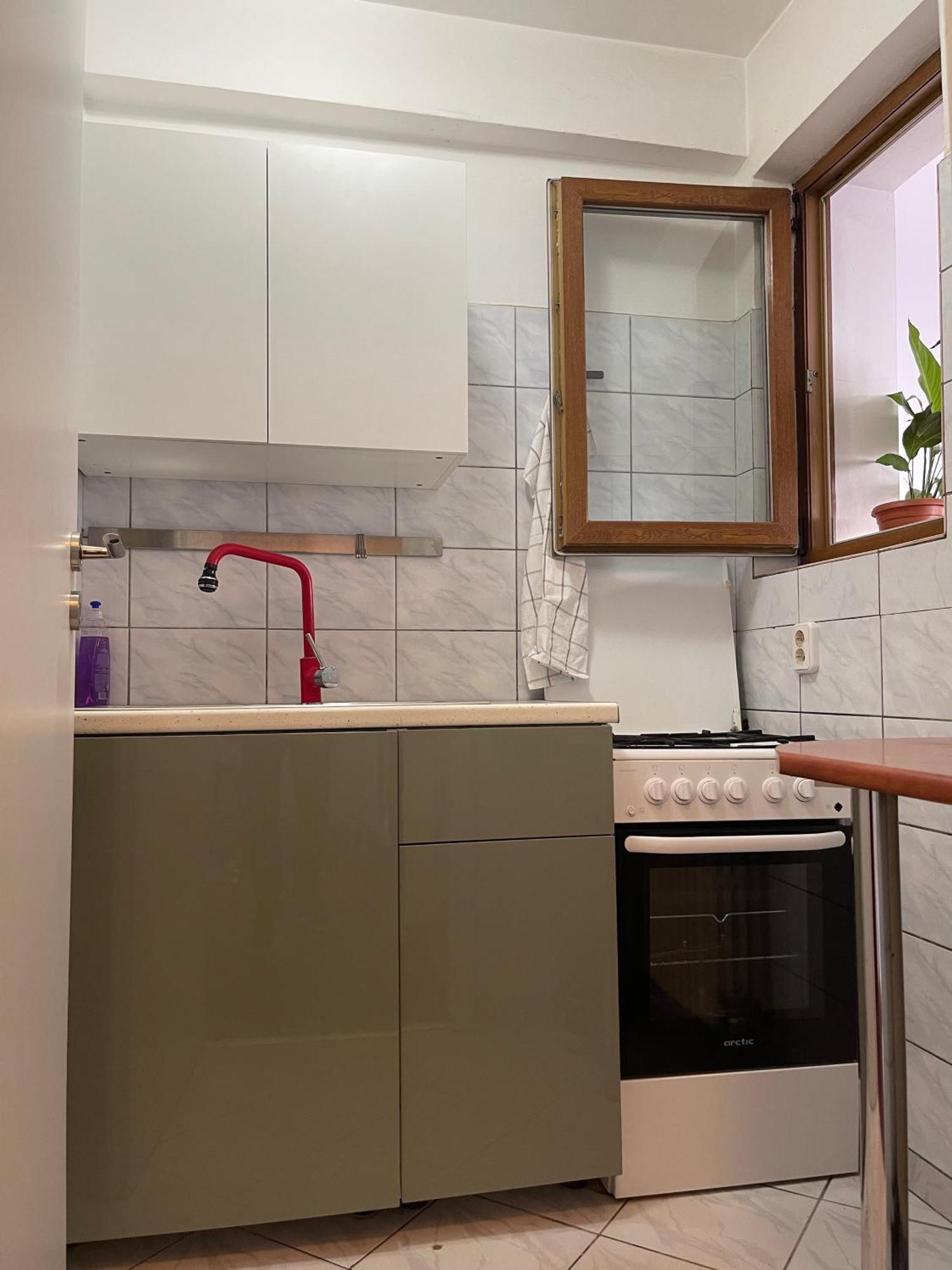 Apartament La Cismigiu *