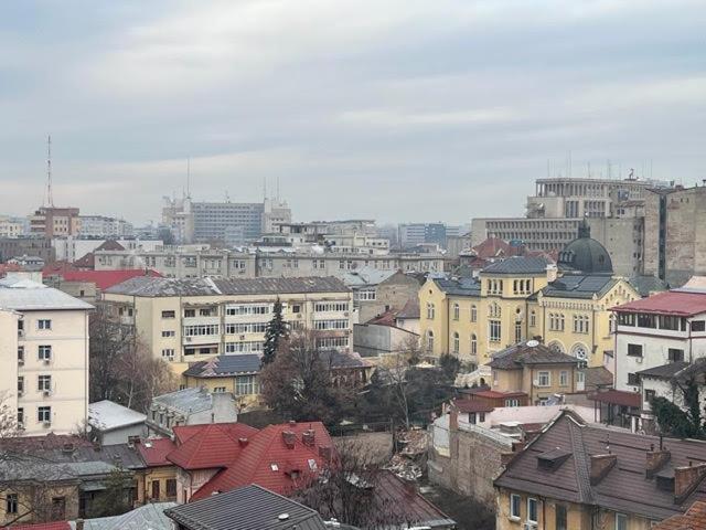 Apartament La Cismigiu *